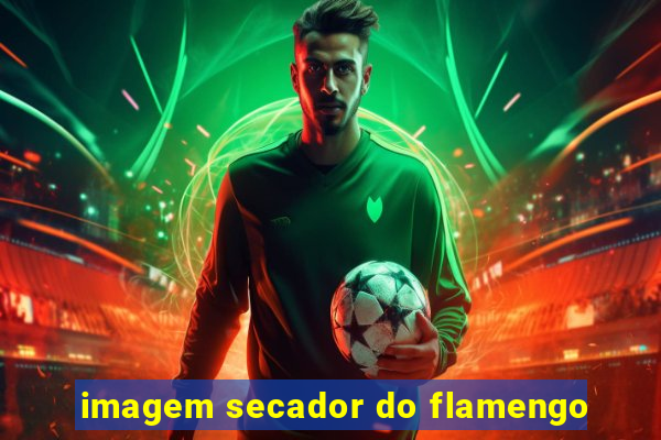 imagem secador do flamengo